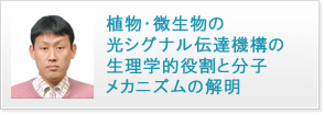 植物・微生物の光シグナル伝達機構の生理学的役割と分子メカニズムの解明