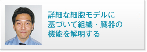 詳細な細胞モデルに基づいて組織・臓器の機能を解明する