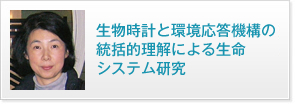 生物時計と環境応答機構の統括的理解による生命システム研究