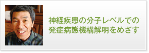 神経疾患の分子レベルでの発症病態機構解明をめざす