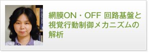 網膜ON・OFF回路基盤と視覚行動制御メカニズムの解析