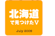 北海道で見つけたV　July 2009