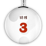 特捜3