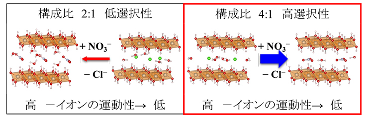 図2.　得られた精密結晶構造と選択性および層間の陰イオンの運動性の関係