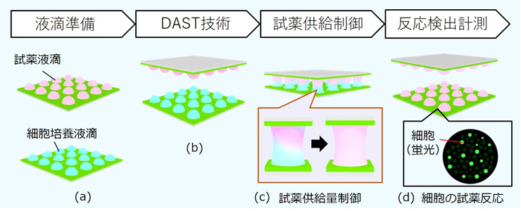 図1　DASTを用いた液滴アレイの上下接触分離によるピペットを用いない試薬、細胞の操作。