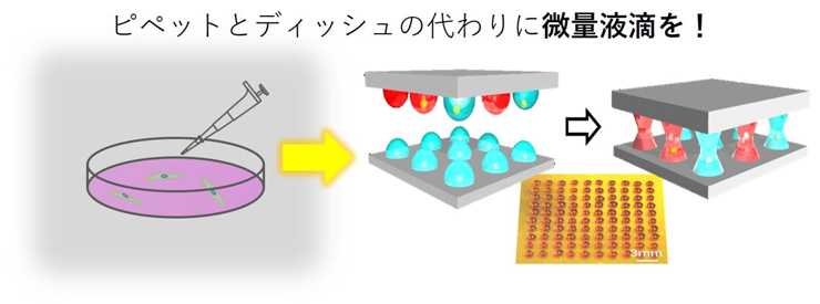 図 3 生化学アッセイの従来ツールを液滴で代替し、大量の微量液滴によるハイスループット技術へ