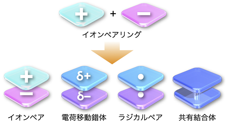 図1 イオンペアリングによる多様な形態