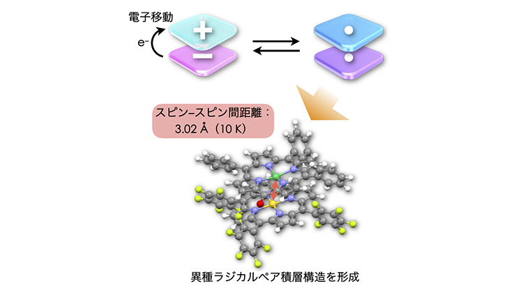 図3 荷電<span>π</span>電子系の電子移動による異種ラジカルペア積層構造の形成