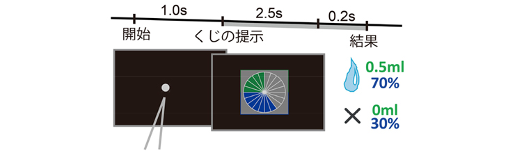 図１．ギャンブル課題