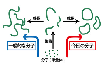 図1　分子集積体が形成される経路の概要図