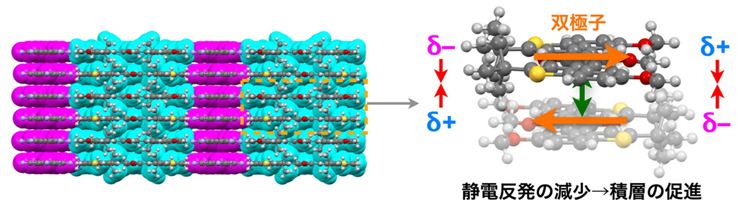 図 3 双極子間の相互作用による完全電荷種分離配置型集合体の形成