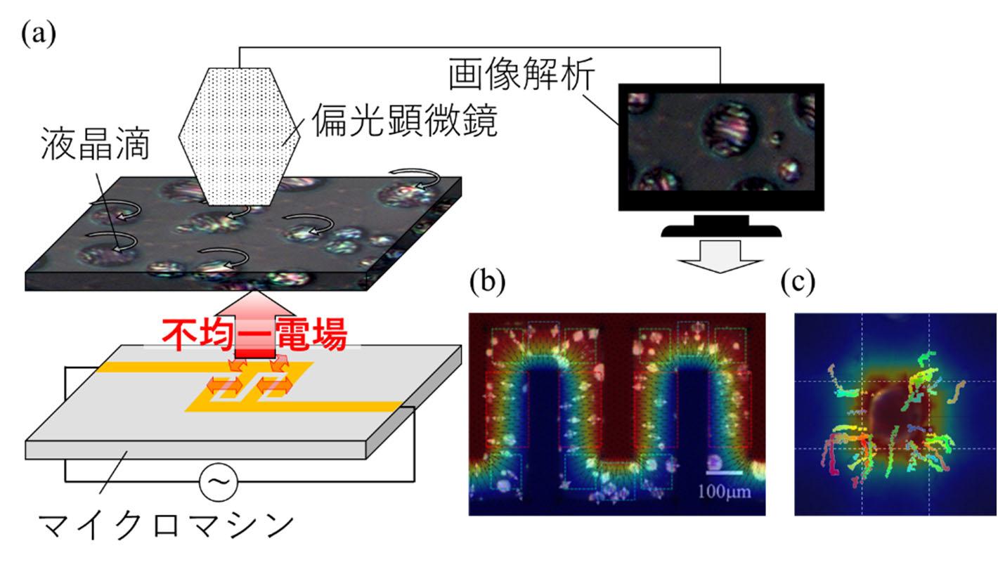 図1 液晶滴を利用したマイクロマシン内の電場分布可視化原理のコンセプト