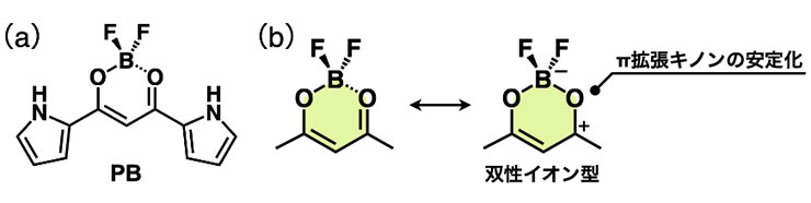 図2（a）ジピロリルジケトンホウ素錯体 PB；(b)π 拡張キノンの共役への寄与を示すジケトンホウ素骨格