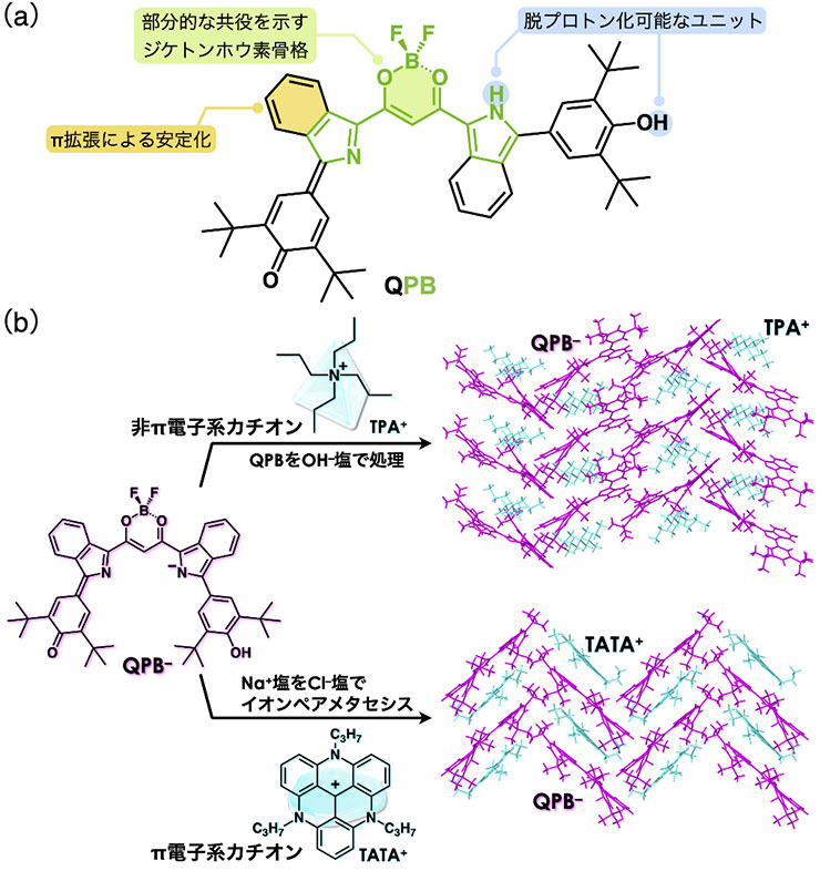 図3（a）PB を基盤としたπ拡張キノン QPB；（b）対カチオンに依存した QPB–イオンペア集合体