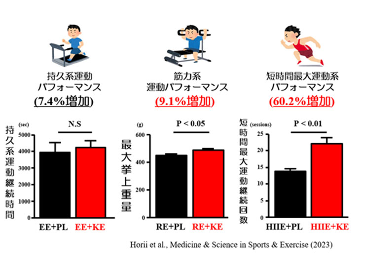 Fig. 1 異なる運動様式のパフォーマンスに対するケトン体投与の影響