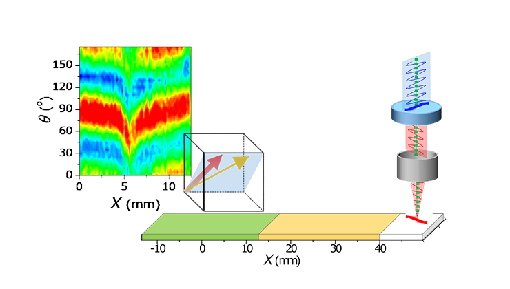 光の偏光方向を制御しながら光を当てる位置を変える「角度分解偏光ラマン顕微鏡」を用いた実験イメー
    ジと得られたデータ。