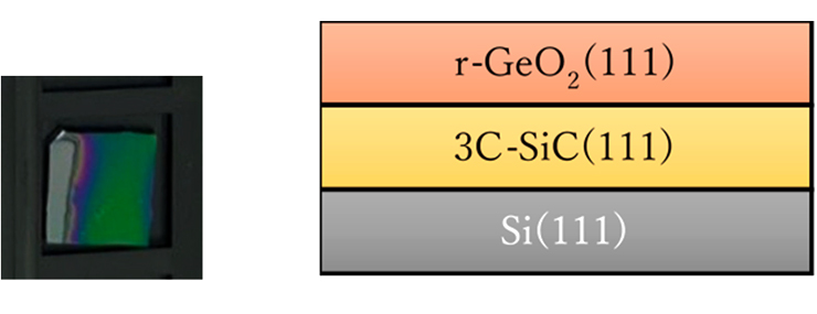 Si(111)/3C-SiC(111)上に成長したルチル構造r-GeO₂ の写真。