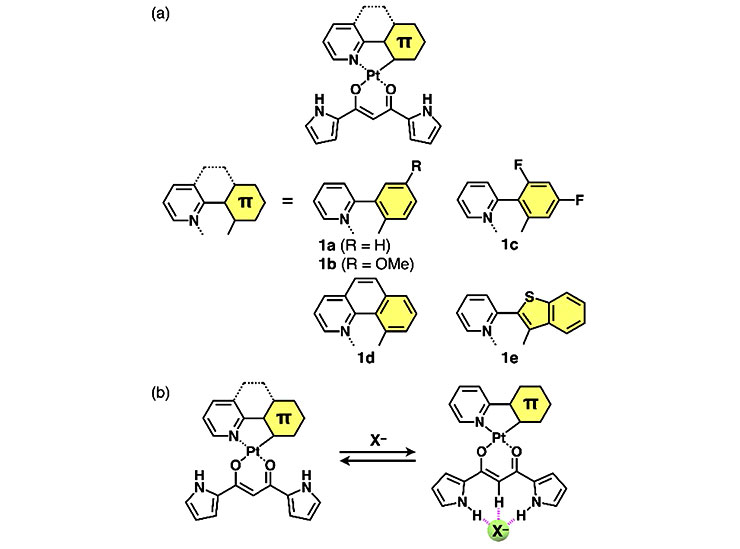 図2（a）アニオン応答性Pt錯体1a-e；（b）アニオン会合における構造変化