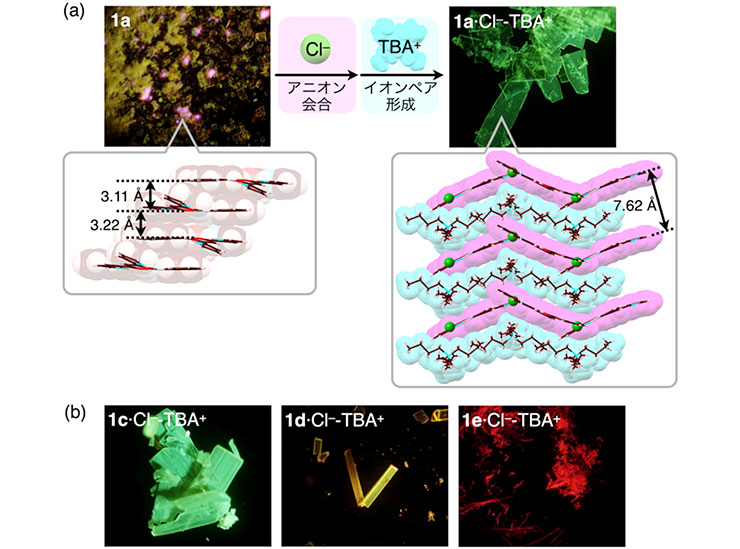 図3（a）PtII 錯体1a（左）およびPtII 錯体イオンペア1a·Cl--TBA+（TBA+ = テトラブチルアン
    モニウム）（マゼンタ：アニオン会合体, シアン：カチオン）（右）の結晶の写真と結晶構造;
    （b）PtII 錯体イオンペア1c–e·Cl–-TBA+の結晶の写真