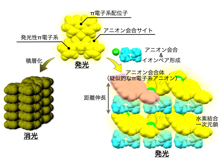 図1発光性π電子系（上）と固体状態における消光（左下）およびイオンペア集合化による
    発光増大（右下）の概念図