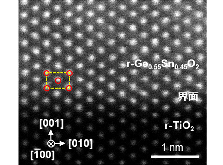 図1：r-Ge0.55Sn0.45O2 薄膜/r-TiO₂ 基板界⾯のHAADF-STEM 像。⽩⾊の丸は、基板、薄膜それぞれを構成する陽イオン（Ti, Ge, Sn）に対応します。⾚丸はルチル型構造における陽イオンの配置を図⽰したものです。