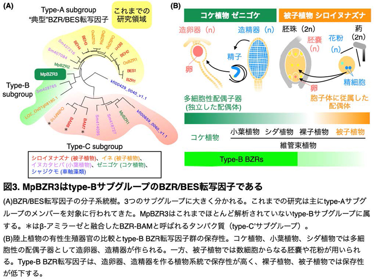 図3