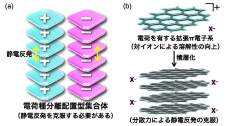 図1 （a）電荷種分離配置型集合体の概念図および（b）電荷を有する拡張π電子系の集合体