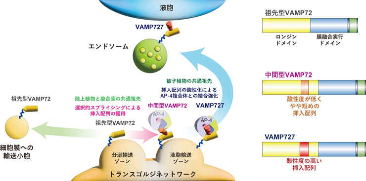 図1