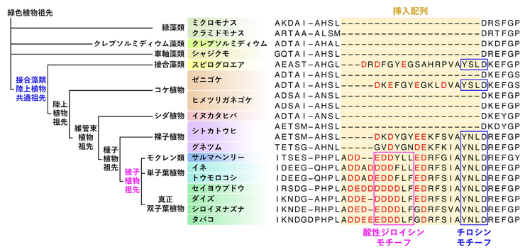 図4