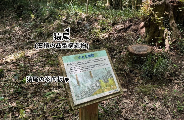 図1