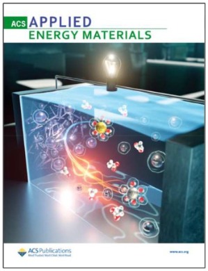 掲載されたSupplementary Cover Art.