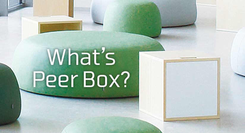 What's Peer Box?