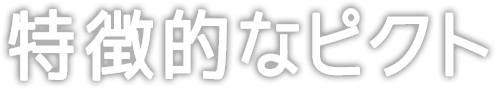 特徴的なピクト