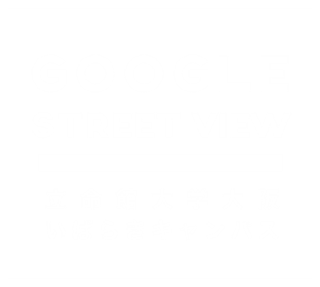 google street view