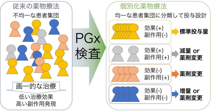 血中薬物濃度解析や遺伝子解析に基づいた個別化投与指針の構築