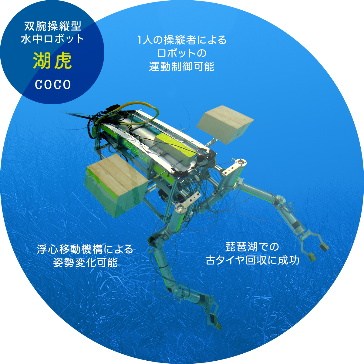 双腕操縦型 水中ロボット 湖虎 COCO