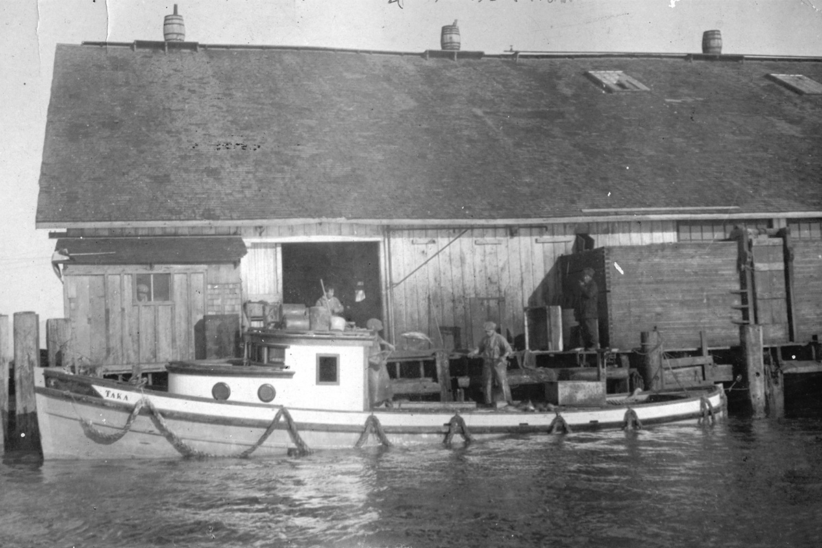 Salmon collection/delivery ship docking at a cannery