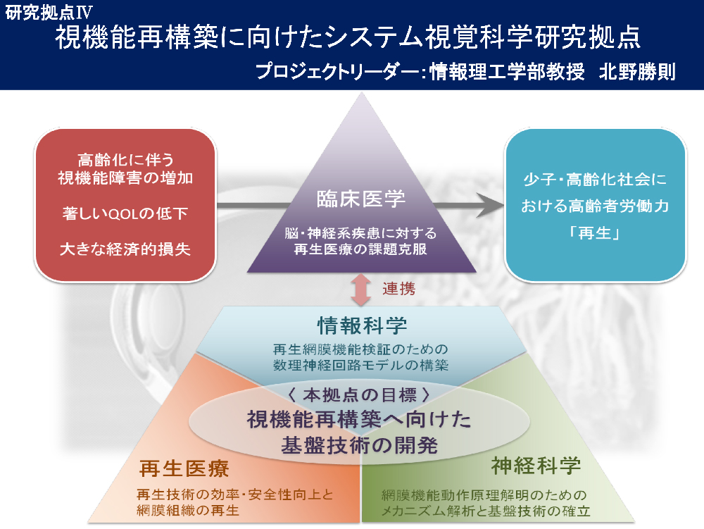 視機能再構築に向けたシステム視覚科学研究拠点イメージ図