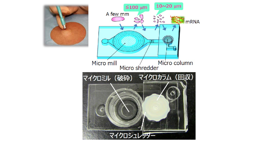 からだ活性化総合科学技術研究拠点イメージ図