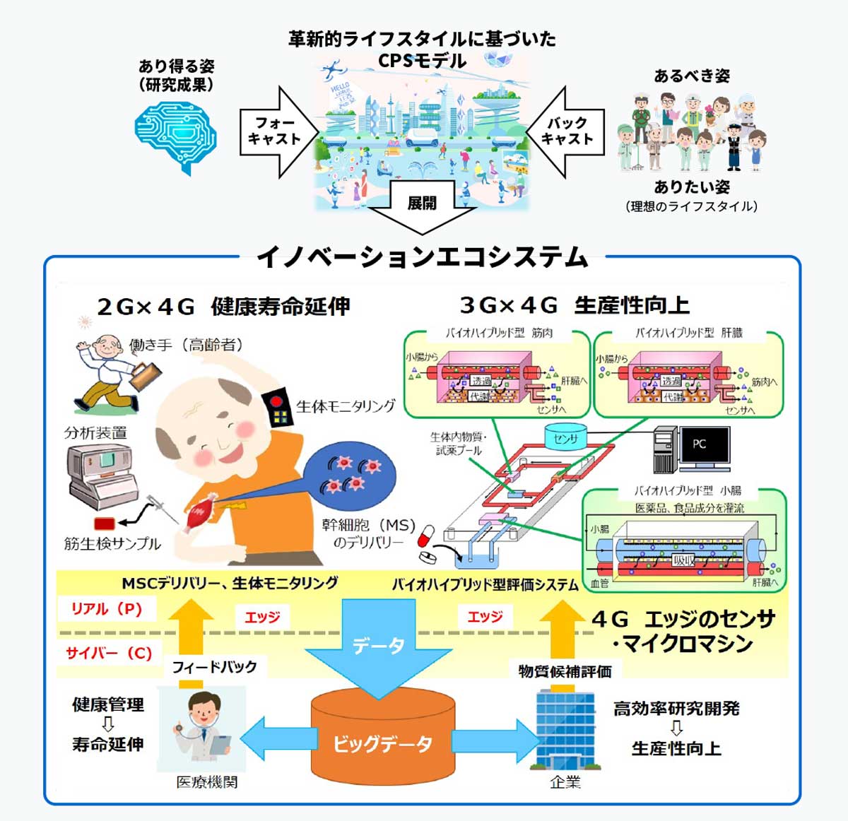 本研究プロジェクトが目指す成果イメージ