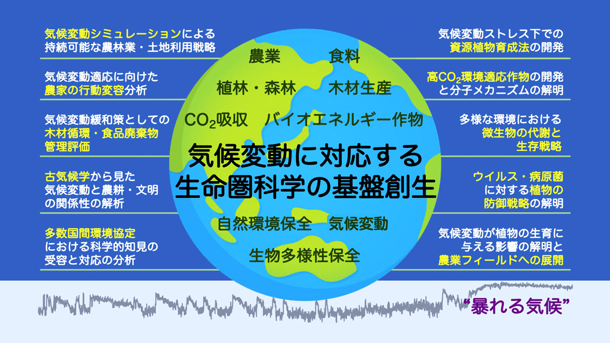 「100年課題」に対してキーワードを設定し、多様な研究分野を結集させて取り組む。