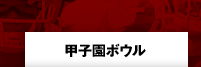 甲子園ボウル
