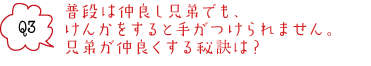 普段は仲良し兄弟でも、 けんかをすると手がつけられません。 兄弟が仲良くする秘訣は？