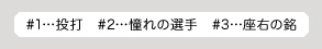 #1…投打　#2…憧れの選手　#3…座右の銘