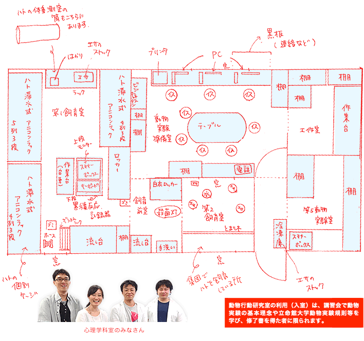 動物行動研究室見取り図