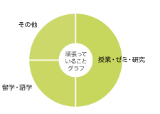 宮本　京介さん グラフ