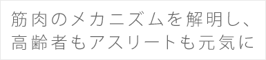 筋肉のメカニズムを解明し、高齢者もアスリートも元気に