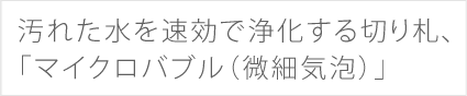 汚れた水を速効で浄化する切り札、「マイクロバブル（微細気泡）