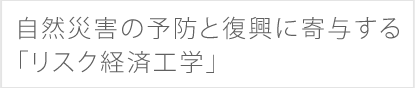 自然災害の予防と復興に寄与する「リスク経済工学」