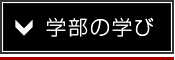 学部の学び